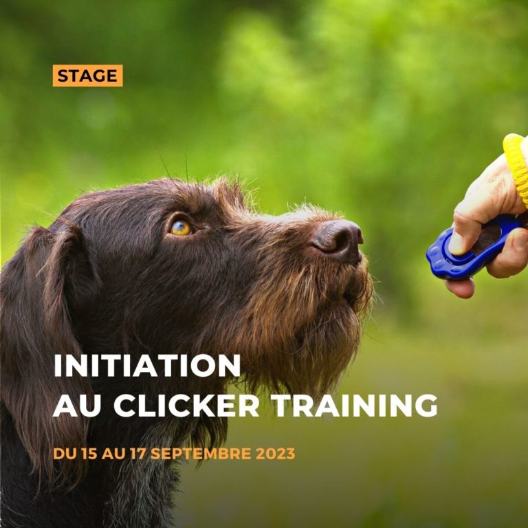 Initiation clicker training
