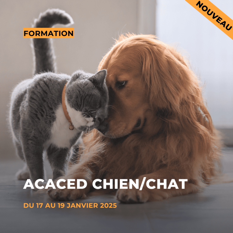 ACACED chien et chat