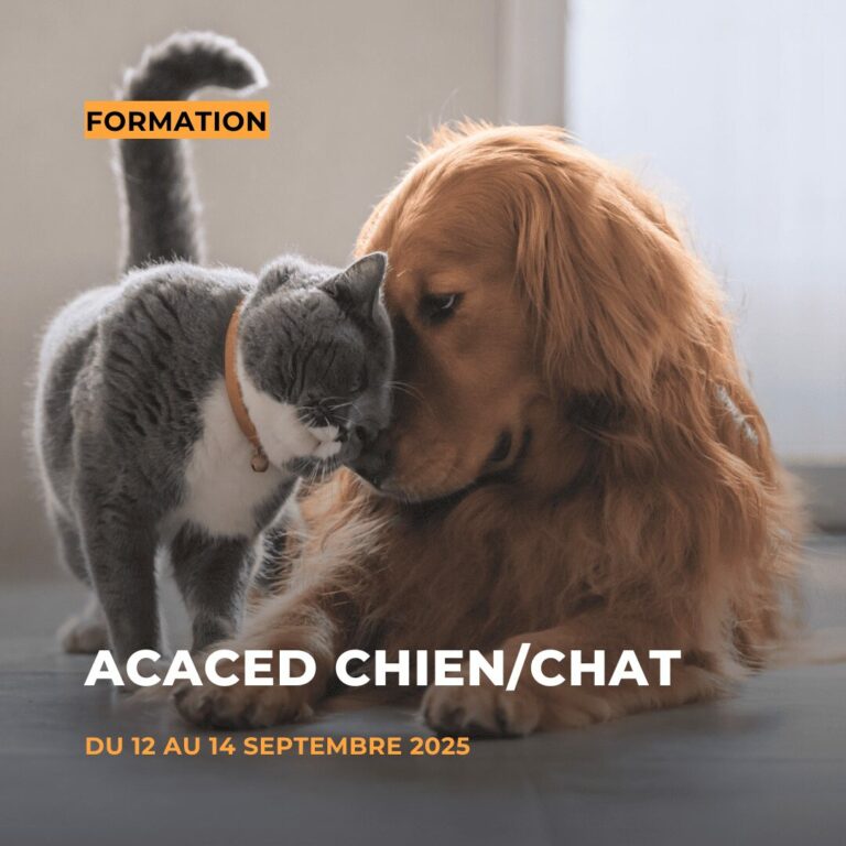 ACACED chien et chat septembre 2025