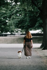 Mon chien tire en laisse : des solutions rapides efficaces en éducation positive