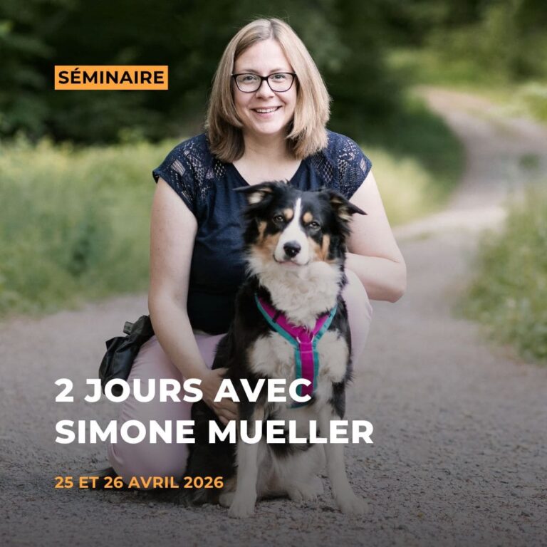 Séminaire "Chassons ensemble" avec Simone Mueller