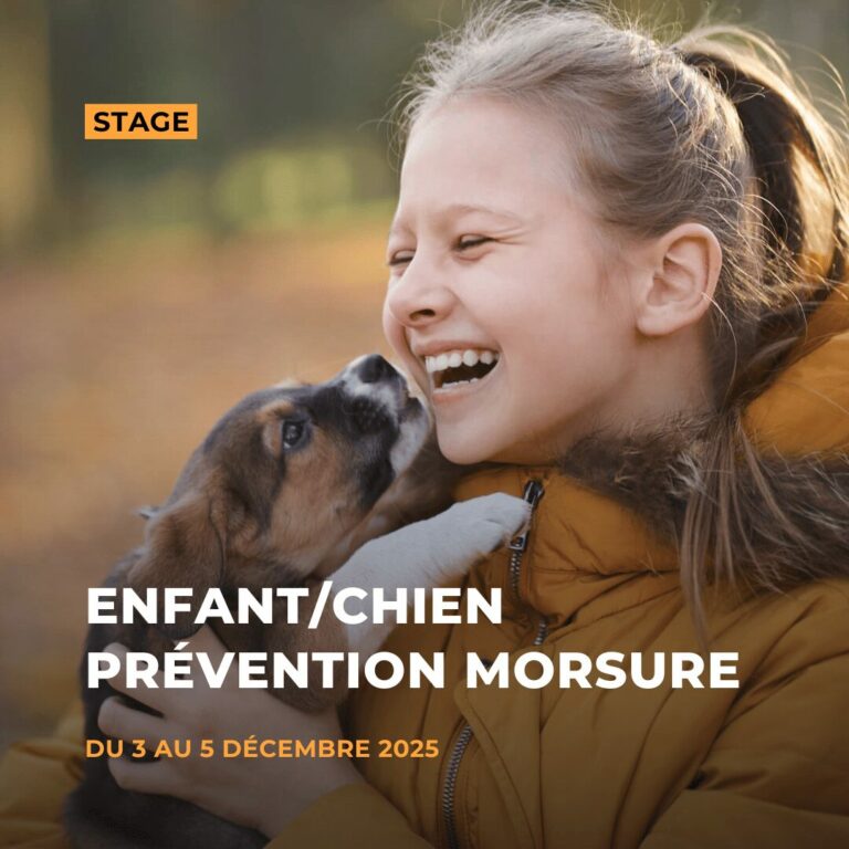 Stage Prévention Morsure Enfant/chien avec Nina Mosny