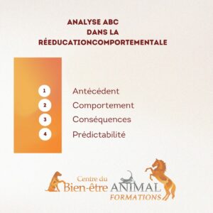 Analyse fonctionnelle du comportement dans la rééducation comportementale