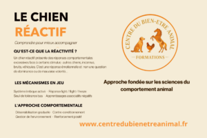 Approche comportementale de la réactiité