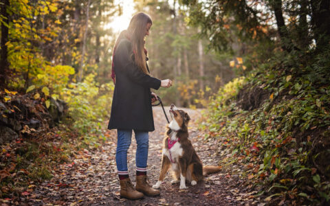 educateur-promeneur-chien