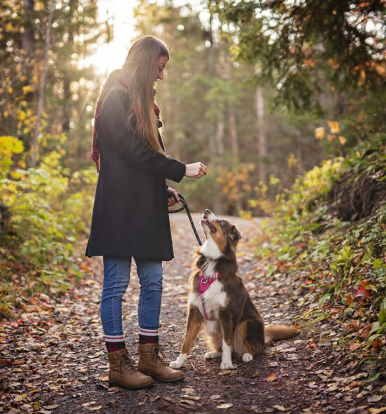 educateur-promeneur-chien