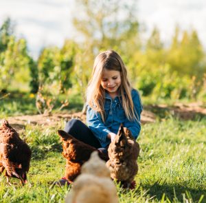 Girl feeding hens at the farm