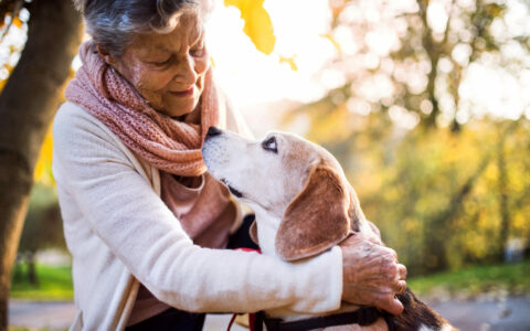 An elderly woman with dog in autumn nature. Senior woman on a walk.