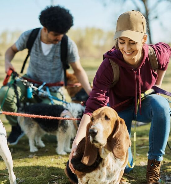 promeneur-chien-professionnel