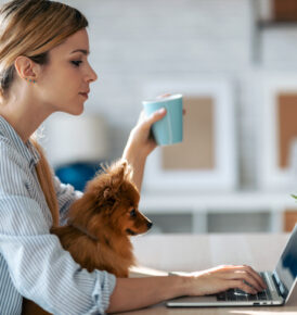 Shot of lovely little dog looking the laptop while her beautiful owner working with him in living room at home.